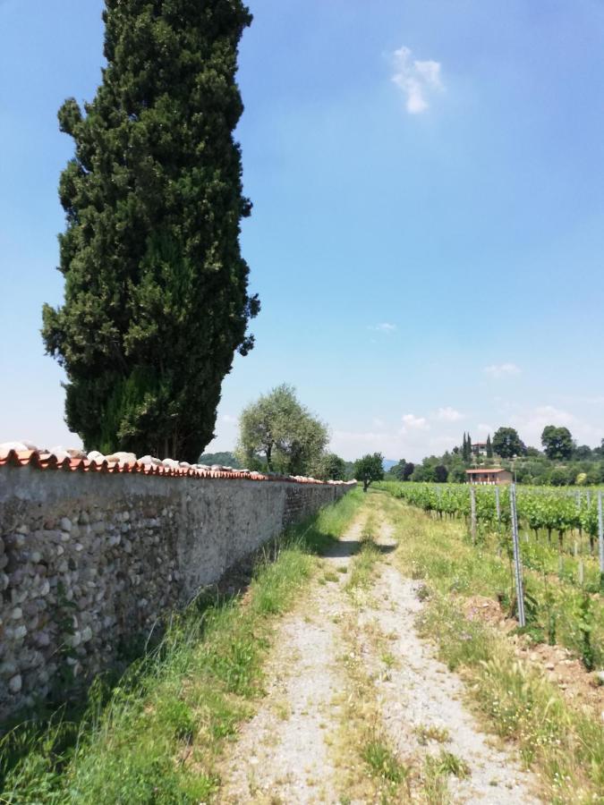 Franciacorta Flat & Bollicine Passirano Exterior foto